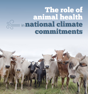 Learn more about methane and health